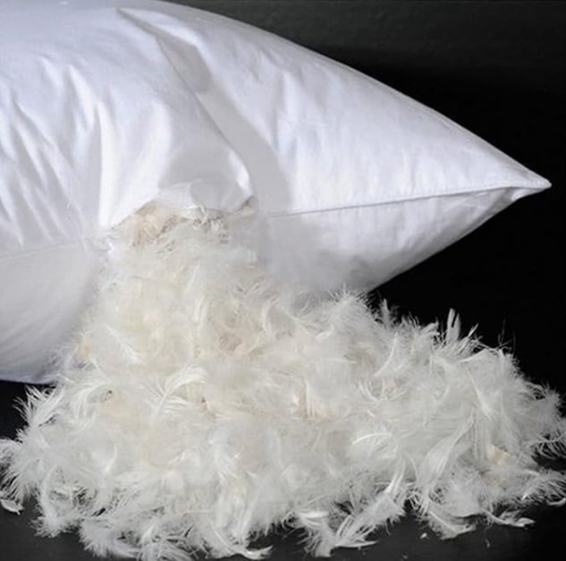 Wool Blanket
